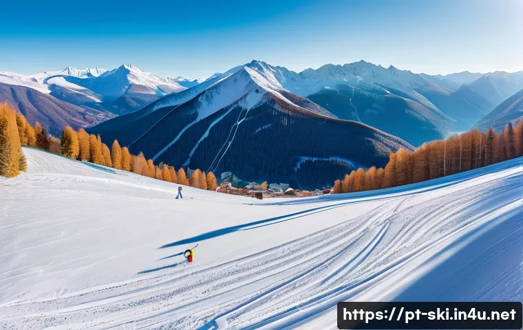 스키장 드론 촬영 허용 여부 관련 이미지 1