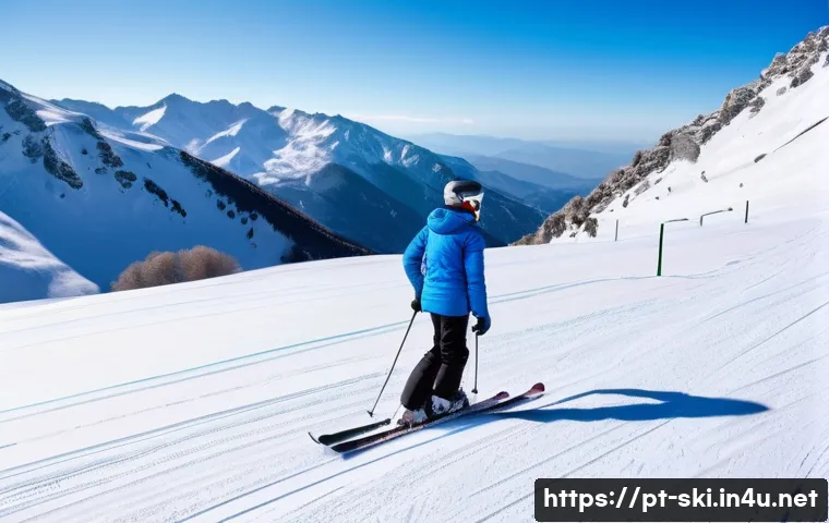 스키 전문가 팁 - A beginner skier on a snowy slope in the Pyrenees mountains of Spain, wearing properly fitted ski bo...